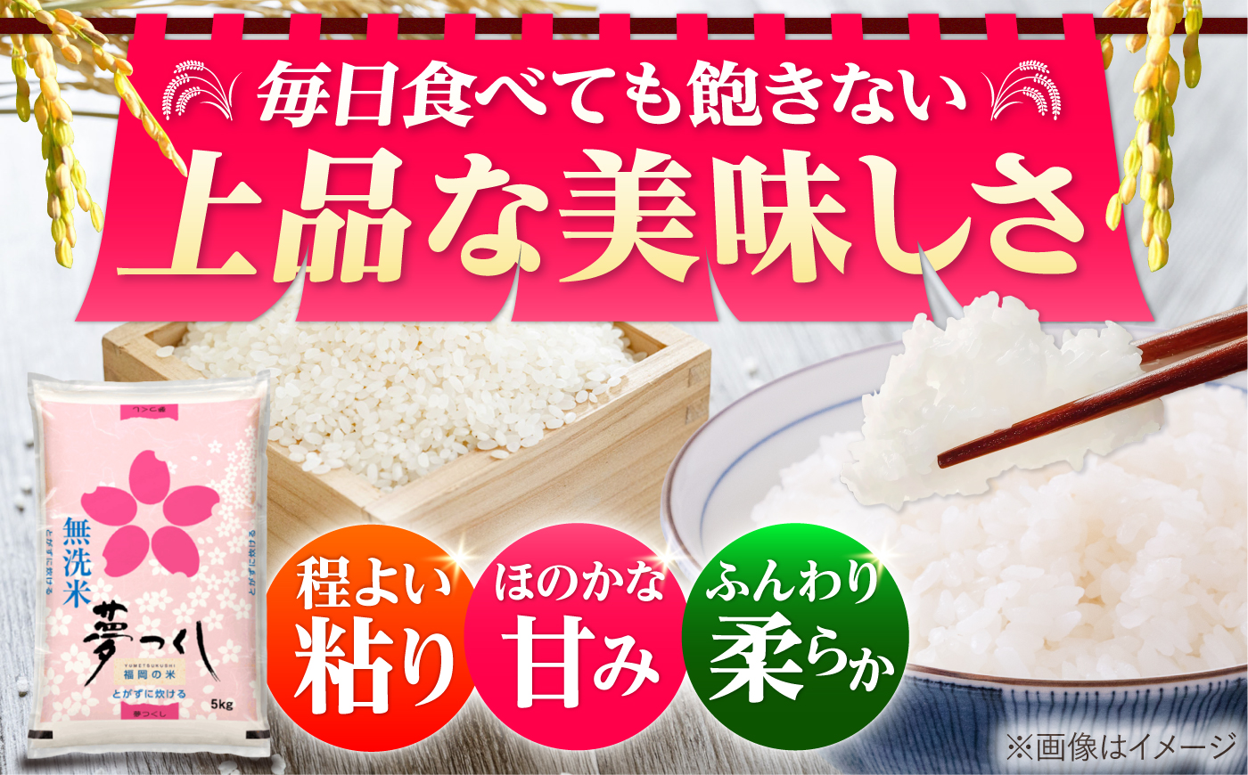夢つくし無洗米5kg　《築上町》【酒見食品工業株式会社】 米 こめ 無洗米 [ABER005]