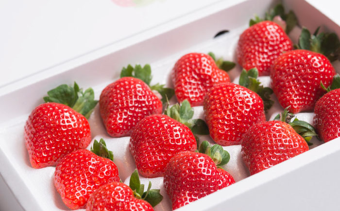 【順次発送】 福岡産 あまおう ギフト箱（12-15粒）《築上町》【南国フルーツ株式会社】 果物 苺 いちご [ABET003]