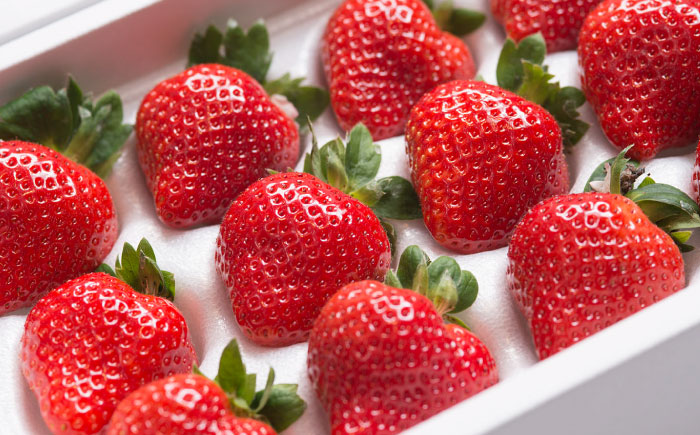 【順次発送】福岡産 あまおう ギフト箱（24-30粒） 《築上町》【南国フルーツ株式会社】果物 苺 いちご [ABET004]