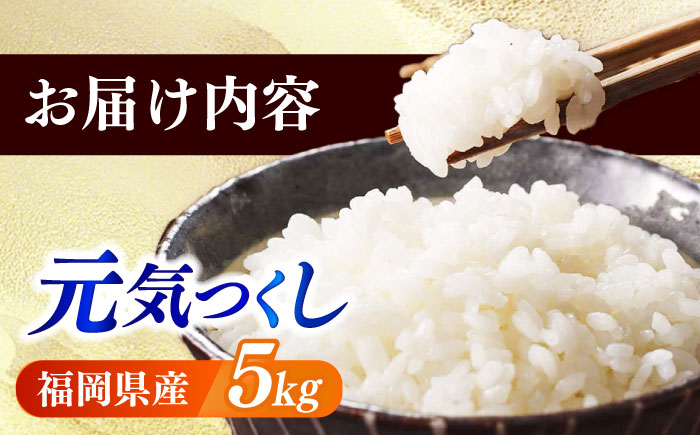 【令和7年産】果物屋さんが選んだ米 元気つくし 5kg 《築上町》【南国フルーツ株式会社】米 白米 お米 ブランド米 [ABET010]