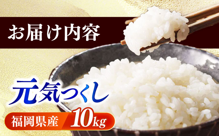 【令和7年産】果物屋さんが選んだ米 元気つくし 10kg 《築上町》【南国フルーツ株式会社】米 白米 お米 ブランド米 [ABET011]