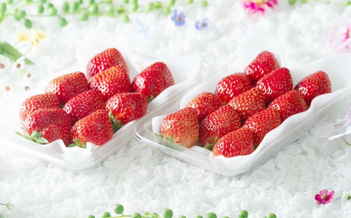 【順次発送】 福岡産【冬】 あまおう 4パック 《築上町》【南国フルーツ株式会社】果物 苺 いちご [ABET013]