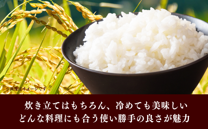 令和7年産 福岡県 夢つくし 15kg（5kg×3袋）《築上町》【カネガエ】 [ABFA003]