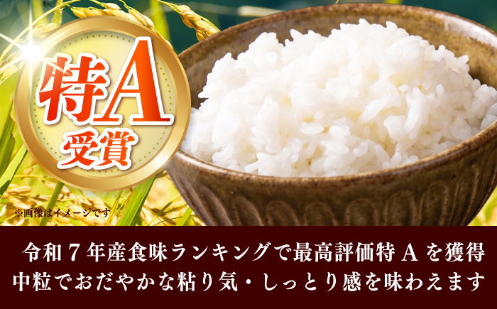令和7年産　福岡県　元気つくし　10kg（5kg×2袋）《築上町》【カネガエ】 [ABFA005]