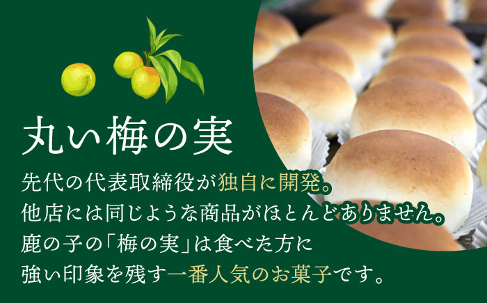 【年内発送】【老舗の菓子屋】築上銘菓「 梅の実 」6 個《築上町》【有限会社 御菓子司 鹿の子】 [ABAC015]