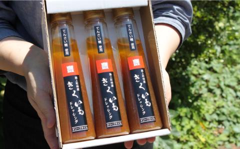【年内発送】【甜菜糖使用】 築上町産 きくいも ドレッシング 3本《築上町》【中山醤油】 [ABAD004]