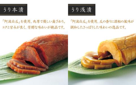 【年内発送】【明治神宮ご奉献品】奈良漬 「琥珀漬」 ( うり 2種 / きゅうり / 大根 ) 670g ご家庭用 詰め合わせ 《築上町》【有限会社奈良漬さろん安部】 無添加 手作り 漬物 漬け物 つけもの お茶請け お茶漬け ご飯 米 お供 おつまみ おかず [ABAE004]