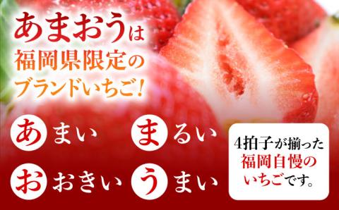 【1月中旬以降順次発送】築上町産 あまおう  12粒《築上町》【エースいちご株式会社】 大粒 あまおう 苺 いちご [ABAG006]