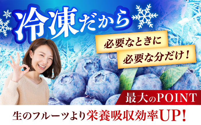 ブルーベリー 1kg 冷凍《築上町》【(有)工房よしかわ】国産 ブルーベリー [ABAK001]