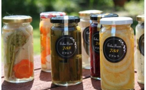 【農家こだわりの 野菜 使用】 ピクルス + 京築ヒノキ イーゼル セット《築上町》【ERBA FARM733】 [ABAP005]