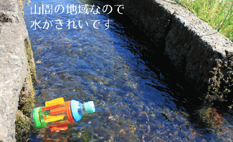 【先行予約】レンゲ 栽培米 夢つくし 10kg 【2025年10月以降順次発送】《築上町》【久楽農園】 [ABAT002] 精米 お米 こめ コメ ご飯
