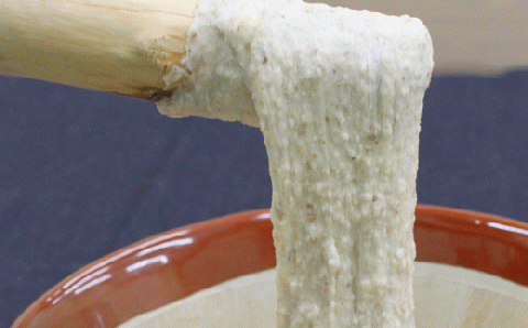 【なくなり次第終了！】 特選 「築城 自然薯 」約1kg 《築上町》【秋永農園】 [ABBG001]