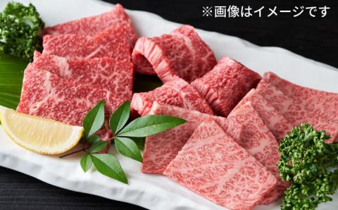 【和牛の旨味を堪能！】博多和牛 焼肉用 500g《築上町》【株式会社MEAT PLUS】 [ABBP012]