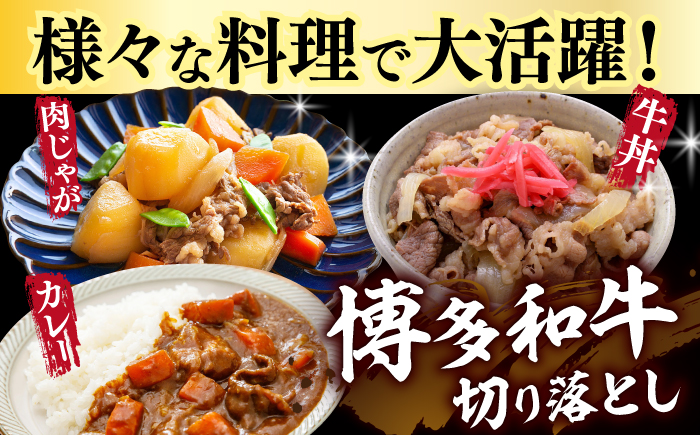 【全3回定期便】【たっぷり大容量！】博多和牛 切り落とし 1000g(500ｇ×2Ｐ）《築上町》【株式会社MEAT PLUS】 [ABBP027]