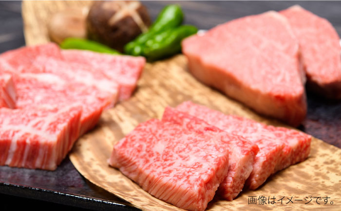 【全12回定期便】【和牛の旨味を堪能！】博多和牛焼肉用 500g《築上町》【株式会社MEAT PLUS】 [ABBP035]