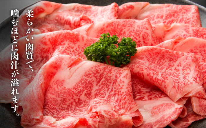 【全12回定期便】【厳選部位使用！】博多和牛しゃぶしゃぶ・すき焼き用500g《築上町》【株式会社MEAT PLUS】 [ABBP041]