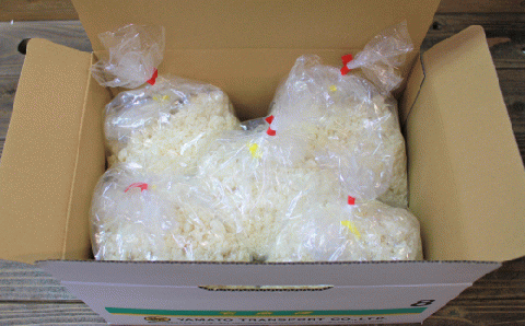 【11月頃順次発送予約】手造り 米糀 2kg <昔ながらの手もみ仕込み>《築上町》【則松糀屋】 [ABBQ002]