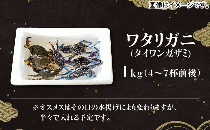 【30セット限定！予約受付】豊前海産 タイワンガザミ 1kg (4～7杯前後) オス メス セット 《築上町》【明青丸】 ワタリガニ 渡り蟹 蟹 カニ [ABCB002]