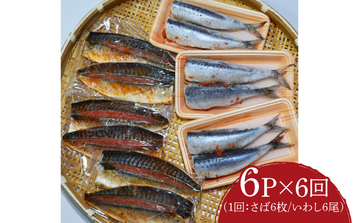 【全6回定期便】さば明太6枚・いわし明太6尾セット《築上町》【株式会社マル五】 [ABCJ082]