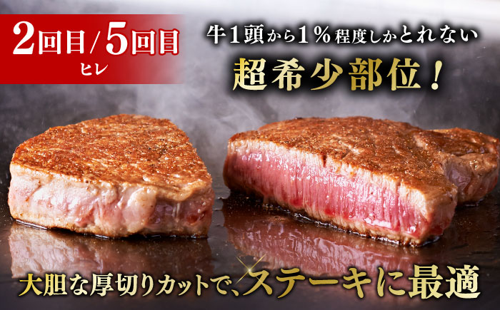 【全6回定期便】博多和牛 食べ比べ ステーキ 定期便 ( サーロイン /  ヒレ /  シャトーブリアン ) 《築上町》【久田精肉店】 肉 和牛 牛 精肉 [ABCL146]
