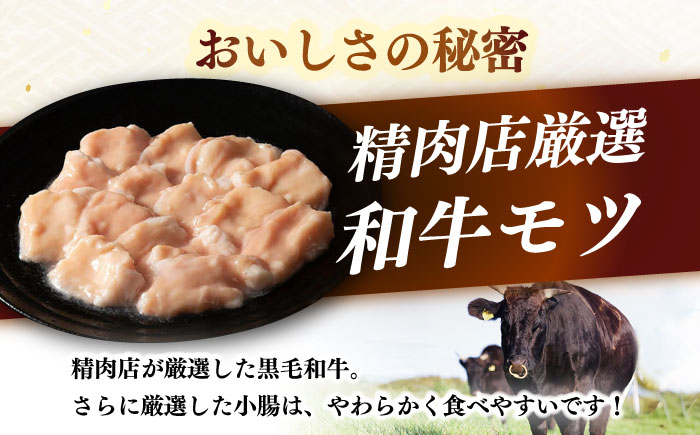 【博多久田】和牛もつ鍋セット 6人前《築上町》【久田精肉店】もつ鍋 博多 もつなべ [ABCL173]
