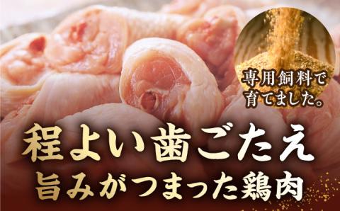 【全3回定期便】博多華味鳥 水炊き セット ちゃんぽん付き 3～4人前 《築上町》【トリゼンフーズ】博多 福岡 鍋 鶏 水たき みずたき [ABCN012]