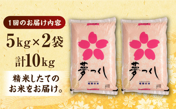 【全3回定期便】福岡県産米 夢つくし 5kg×2袋《築上町》【有限会社ファインリョーコク】米 精米 白米 [ABCO012]