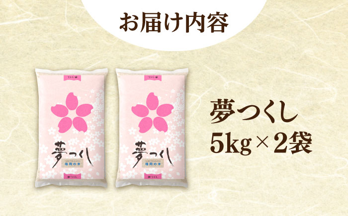 福岡夢つくし5kg×2袋《築上町》【株式会社オカベイ】  [ABCT002] 精米 米 ご飯 ごはん こめ コメ