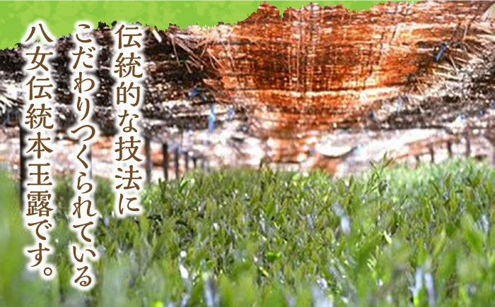 【2025年産】八女茶 奥八女・星野村の伝統本玉露 80g《築上町》【株式会社ゼロプラス】 [ABDD052]