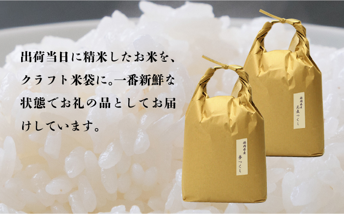 【先行予約】福岡県産【特A米】元気つくし【A米】夢つくしの食べ比べ 各5kg×2袋 [10kg] [白米]【2024年11月下旬以降順次発送】《築上町》【株式会社ベネフィス】 [ABDF033] 精米 米 ご飯 ごはん こめ コメ
