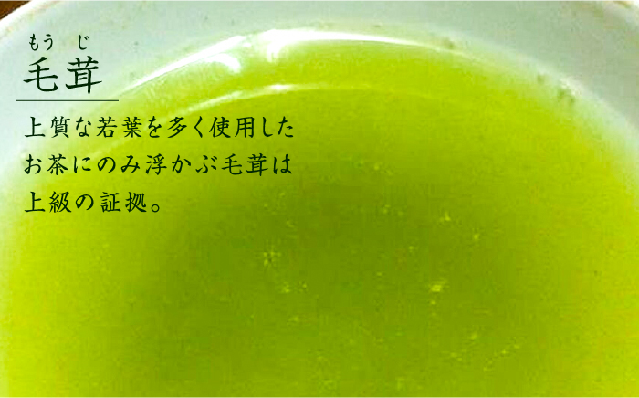 【全12回定期便】奥八女星野村 八女茶 伝統本玉露[50g]×2袋《築上町》【株式会社ベネフィス】 [ABDF111]