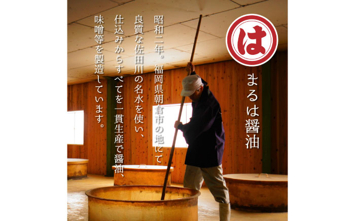 【全6回定期便】博多もつ鍋セット(九州醤油仕立て) 4～6人前　国産牛もつ600g《築上町》【株式会社ベネフィス】 [ABDF157]