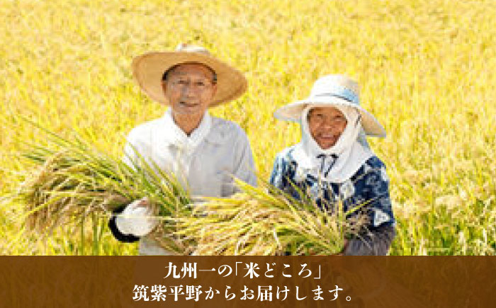 福岡県産【特A】評価のお米「元気つくし」5kg×1袋 [5kg] [玄米]《築上町》【株式会社ベネフィス】 [ABDF202] 令和7年産 ご飯 ごはん 米 こめ コメ おにぎり