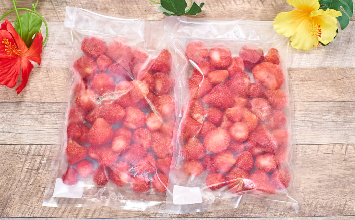 【4月以降発送】福岡産 冷凍あまおう 1kg （500g×2袋） 《築上町》【南国フルーツ株式会社】 果物 苺 いちご あまおう [ABET001]