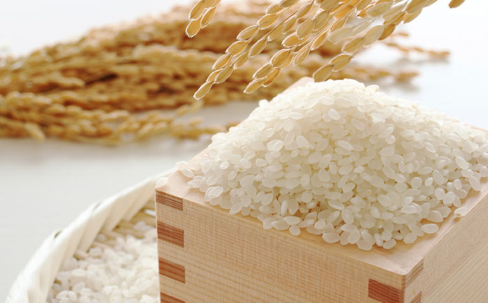 【令和7年産】果物屋さんが選んだ米 夢つくし 5kg 《築上町》【南国フルーツ株式会社】 米 白米 お米 ブランド米 [ABET008]