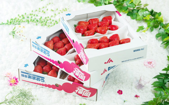【2月上旬より発送】福岡産【春】 あまおう 6パック 《築上町》【南国フルーツ株式会社】果物 苺 いちご [ABET012]