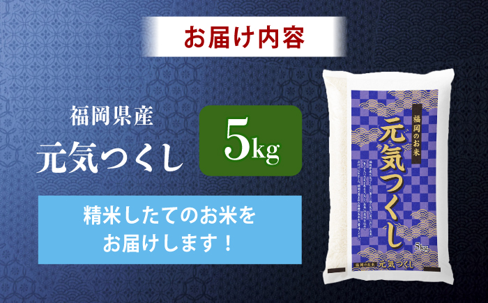 令和7年産　福岡県　元気つくし　5kg　《築上町》【カネガエ】 [ABFA004]