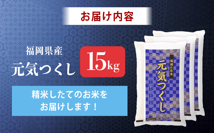 令和7年産 福岡県 元気つくし 15kg（5kg×3袋）《築上町》【カネガエ】 [ABFA006]