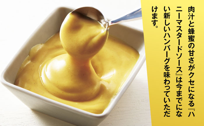 【ヒカル考案！】冗談抜きで旨い ハンバーグ 120g×16袋 (黒カレーソース×ハニーマスタード+チーズ)《築上町》【株式会社 ジョイフル】 [ABAA010]