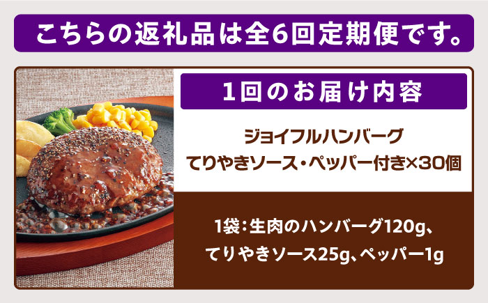 【全6回定期便】【福岡工場直送】ジョイフル ハンバーグ 30個 ( てりやきソース +ペッパー)《築上町》【株式会社 ジョイフル】 [ABAA046]