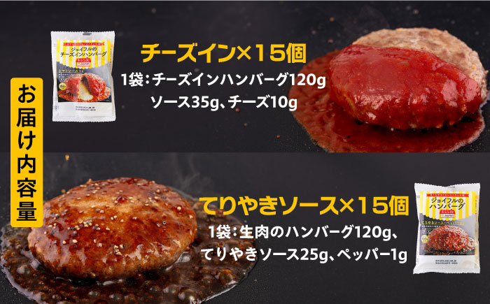 ジョイフル ハンバーグ スペシャル 詰め合わせ 2種 30個 セット《築上町》【株式会社　ジョイフル】 [ABAA071]