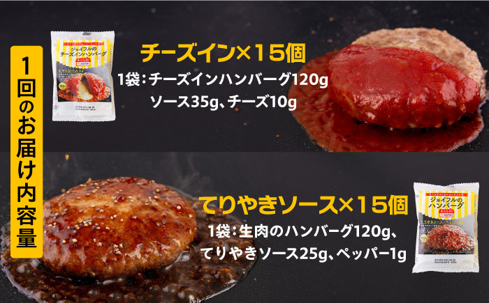 【全3回定期便】ジョイフル ハンバーグ スペシャル 詰め合わせ 2種 30個 セット《築上町》【株式会社　ジョイフル】 [ABAA078]
