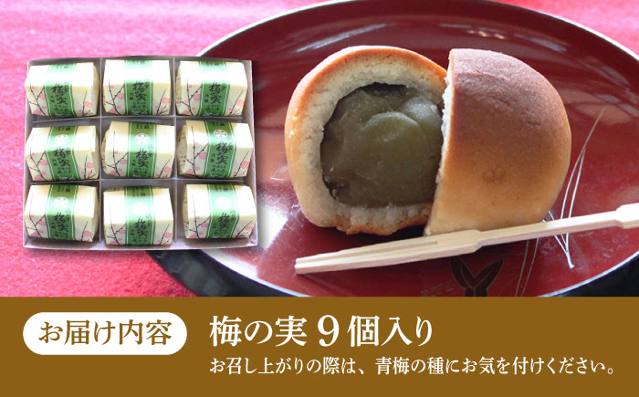 【年内発送】【老舗の菓子屋】築上銘菓「 梅の実 」9 個《築上町》【有限会社 御菓子司 鹿の子】 [ABAC017]