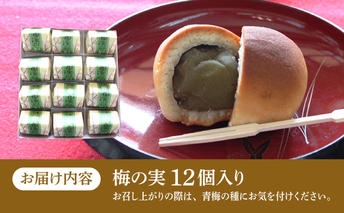 【年内発送】【老舗の菓子屋】築上銘菓「 梅の実 」12 個《築上町》【有限会社 御菓子司 鹿の子】 [ABAC019]