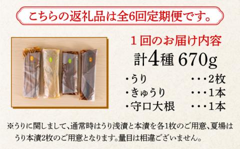 【全6回定期便】【明治神宮ご奉献品】奈良漬 「琥珀漬」670g ご家庭用 詰め合わせ 《築上町》【有限会社奈良漬さろん安部】奈良漬 奈良漬け 無添加 手作り 漬物 漬け物 つけもの お茶請け お茶漬け ご飯 米 お供 おつまみ おかず [ABAE029]