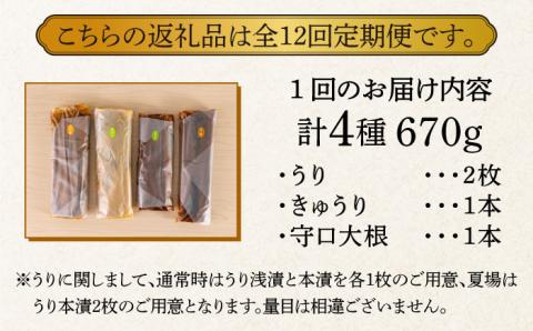 【全12回定期便】【明治神宮ご奉献品】奈良漬 「琥珀漬」670g ご家庭用 詰め合わせ 《築上町》【有限会社奈良漬さろん安部】奈良漬 奈良漬け 無添加 手作り 漬物 漬け物 つけもの お茶請け お茶漬け ご飯 米 お供 おつまみ おかず [ABAE030]