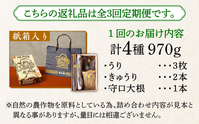 【全3回定期便】奈良漬 「琥珀漬」紙箱入り 970g【明治神宮ご奉献品】《築上町》【有限会社奈良漬さろん安部】奈良漬 奈良漬け ギフト 贈り物 贈答 無添加 手作り 漬物 漬け物 つけもの お茶請け お茶漬け ご飯 米 お供 おつまみ おかず [ABAE049]