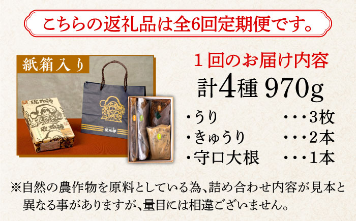 【全6回定期便】奈良漬 「琥珀漬」紙箱入り 970g【明治神宮ご奉献品】《築上町》【有限会社奈良漬さろん安部】奈良漬 奈良漬け ギフト 贈り物 贈答 無添加 手作り 漬物 漬け物 つけもの お茶請け お茶漬け ご飯 米 お供 おつまみ おかず [ABAE050]
