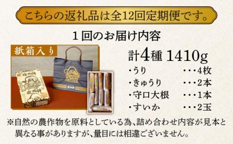 【全12回定期便】【明治神宮ご奉献品】奈良漬 「琥珀漬」 木箱入り 1410g《築上町》【有限会社奈良漬さろん安部】奈良漬 奈良漬け ギフト 贈り物 贈答 無添加 手作り 漬物 漬け物 つけもの お茶請け お茶漬け ご飯 米 お供 おつまみ おかず [ABAE054]