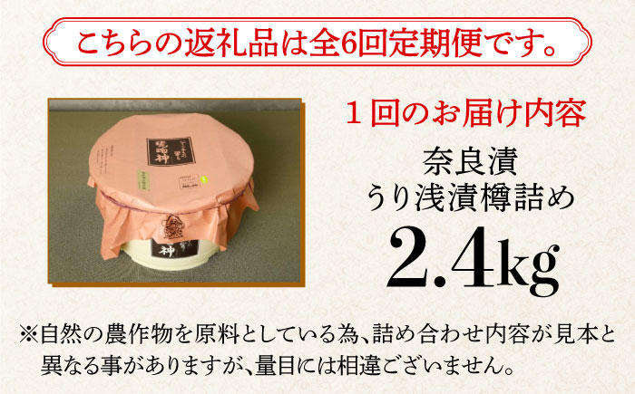 【先行予約】【全6回定期便】【明治神宮ご奉献品】奈良漬 「琥珀漬」 うり浅漬 樽詰め 2.4kg《築上町》【有限会社奈良漬さろん安部】奈良漬 奈良漬け 無添加 手作り 漬物 漬け物 つけもの お茶請け お茶漬け ご飯 米 お供 おつまみ おかず [ABAE056]